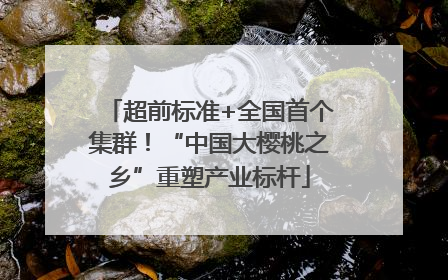 超前标准+全国首个集群！“中国大樱桃之乡”重塑产业标杆