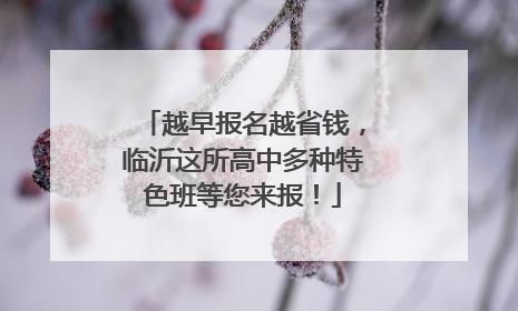 越早报名越省钱，临沂这所高中多种特色班等您来报！