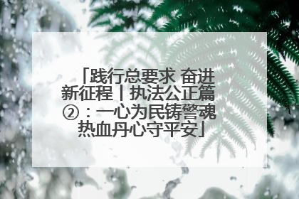 践行总要求 奋进新征程丨执法公正篇②：一心为民铸警魂 热血丹心守平安