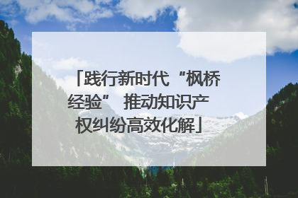 践行新时代“枫桥经验” 推动知识产权纠纷高效化解