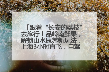 跟着“长安的荔枝”去旅行！品岭南鲜果，解锁山水康养新玩法，上海3小时直飞，自驾高速费优惠