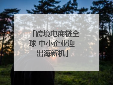 跨境电商链全球 中小企业迎出海新机
