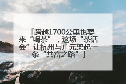 跨越1700公里也要来“喝茶”，这场“茶话会”让杭州与广元架起一条“共富之路”