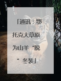 通讯：鄂托克大草原为山羊“脱”冬装