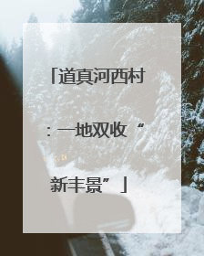 道真河西村：一地双收“新丰景”