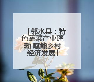 邻水县：特色蔬菜产业蓬勃 赋能乡村经济发展