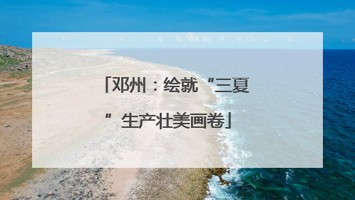 邓州：绘就“三夏”生产壮美画卷