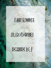 郝宝刚任北京市朝阳区副区长