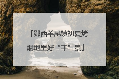 郧西羊尾镇初夏烤烟地里好“丰”景