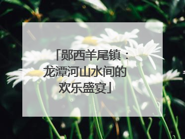 郧西羊尾镇：龙潭河山水间的欢乐盛宴