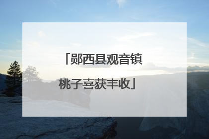 郧西县观音镇桃子喜获丰收