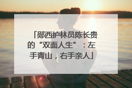 郧西护林员陈长贵的“双面人生”：左手青山，右手亲人
