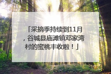 采摘季持续到11月，谷城县庙滩镇邓家湾村的蜜桃丰收啦！