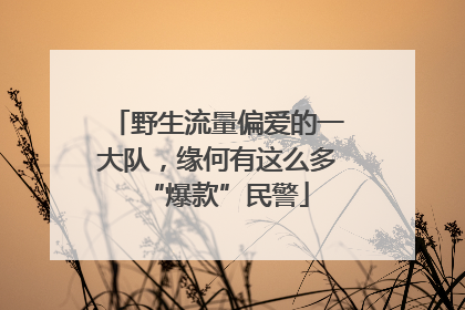 野生流量偏爱的一大队，缘何有这么多“爆款”民警