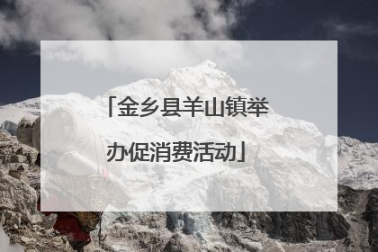 金乡县羊山镇举办促消费活动