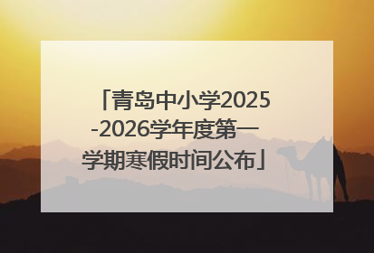 青岛中小学2025-2026学年度第一学期寒假时间公布