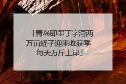 青岛即墨丁字湾两万亩蛏子迎来收获季 每天万斤上岸