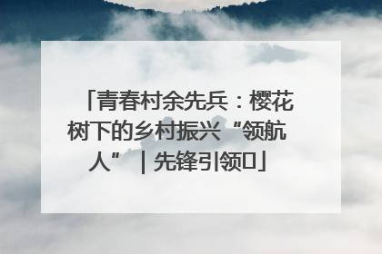 青春村余先兵：樱花树下的乡村振兴“领航人”｜先锋引领⑪