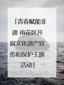 青春赋能非遗 雨花区开展文化遗产宣传和保护主题活动