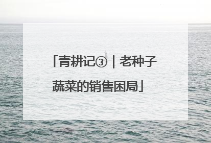 青耕记③｜老种子蔬菜的销售困局