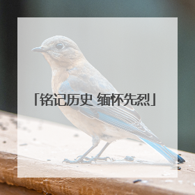 铭记历史 缅怀先烈