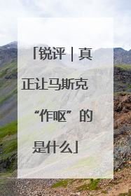 锐评｜真正让马斯克“作呕”的是什么