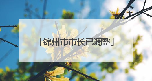 锦州市市长已调整