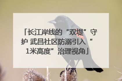 长江岸线的“双堤”守护 武昌社区防溺引入“1米高度”治理视角
