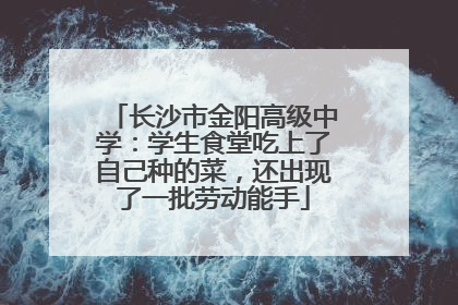 长沙市金阳高级中学：学生食堂吃上了自己种的菜，还出现了一批劳动能手
