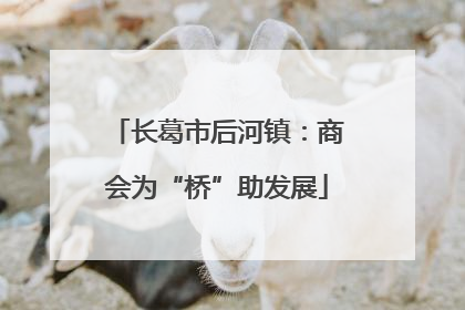 长葛市后河镇：商会为“桥”助发展