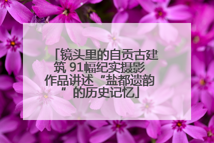 镜头里的自贡古建筑 91幅纪实摄影作品讲述“盐都遗韵”的历史记忆