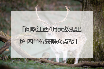 问政江西4月大数据出炉 四单位获群众点赞