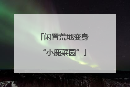 闲置荒地变身“小鹿菜园”