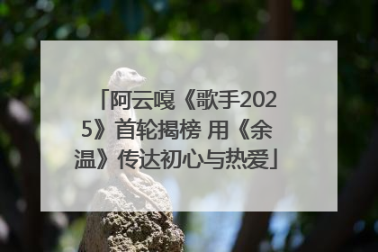 阿云嘎《歌手2025》首轮揭榜 用《余温》传达初心与热爱