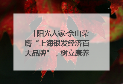 阳光人家·佘山荣膺“上海银发经济百大品牌”，树立康养行业新标杆