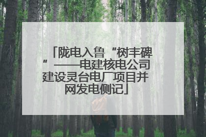 陇电入鲁“树丰碑”——电建核电公司建设灵台电厂项目并网发电侧记