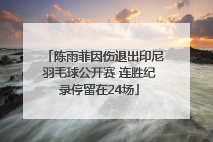 陈雨菲因伤退出印尼羽毛球公开赛 连胜纪录停留在24场
