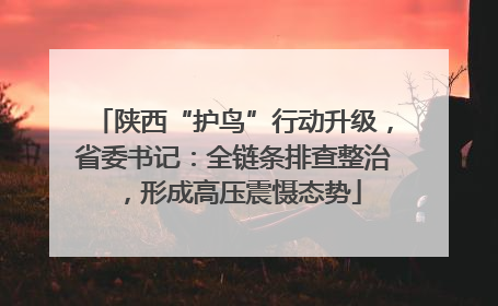 陕西“护鸟”行动升级，省委书记：全链条排查整治，形成高压震慑态势