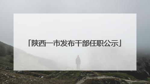 陕西一市发布干部任职公示