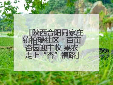 陕西合阳同家庄镇柏瑞社区：百亩杏园迎丰收 果农走上“杏”福路