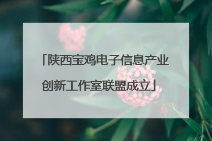 陕西宝鸡电子信息产业创新工作室联盟成立