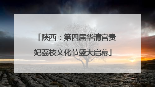 陕西：第四届华清宫贵妃荔枝文化节盛大启幕