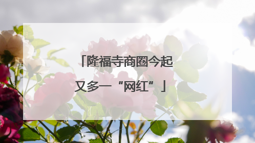 隆福寺商圈今起又多一“网红”