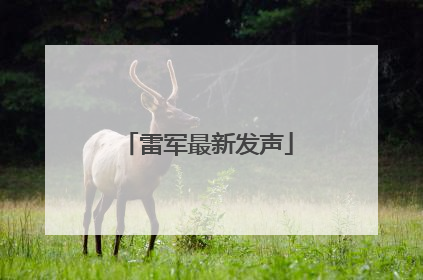 雷军最新发声