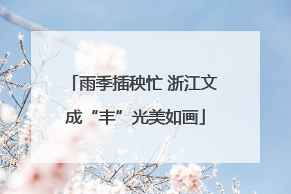 雨季插秧忙 浙江文成“丰”光美如画