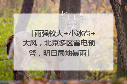 雨强较大+小冰雹+大风，北京多区雷电预警，明日局地暴雨