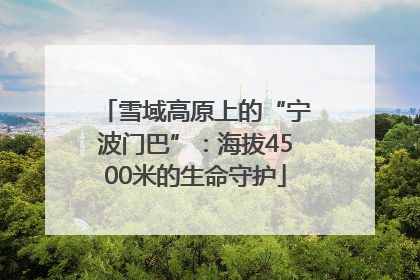 雪域高原上的“宁波门巴”：海拔4500米的生命守护