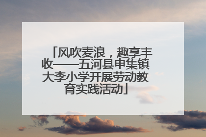 风吹麦浪，趣享丰收——五河县申集镇大李小学开展劳动教育实践活动