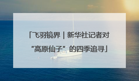 飞羽镜界｜新华社记者对“高原仙子”的四季追寻
