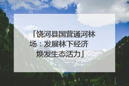饶河县国营通河林场：发展林下经济 焕发生态活力